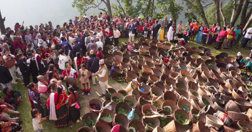 ओखलढुंगा वाम्बुले राई समुदायले मनाए ढवाङकुम