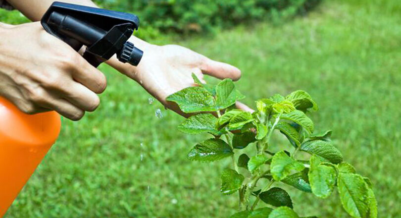 नेपालमा ३ विषादी प्रतिबन्दित