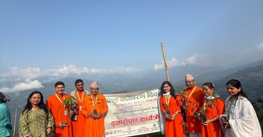 वातावरण दिवसका अवसरमा बृक्षारोपण