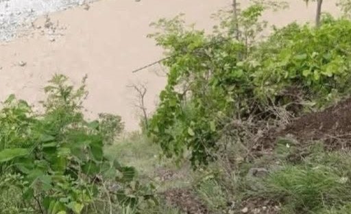 कर्णाली नदीमा खसेको मिनिबसमा रहेका पाँच जनाको सनाखत