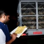 ११ जिल्लामा संक्रमण फैलिएपछि धादिङका नाकामा कडा निगरानी