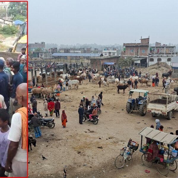 गौशाला नगरपालिकाका मेयर,सहित १३ जना विरुद्ध मुद्दा दायर